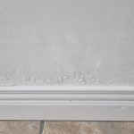 The Leak Doctor signs of moisture in walls
