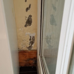 The Leak Doctor damaged caused by rising damp