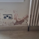 The Leak Doctor signs of rising damp.